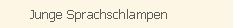 Junge Sprachschlampen